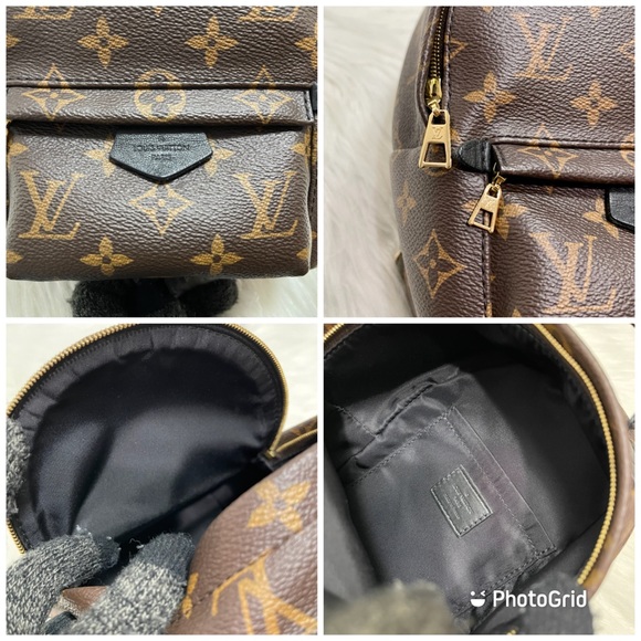 Palm Spring Mini - Picture 10 of 12